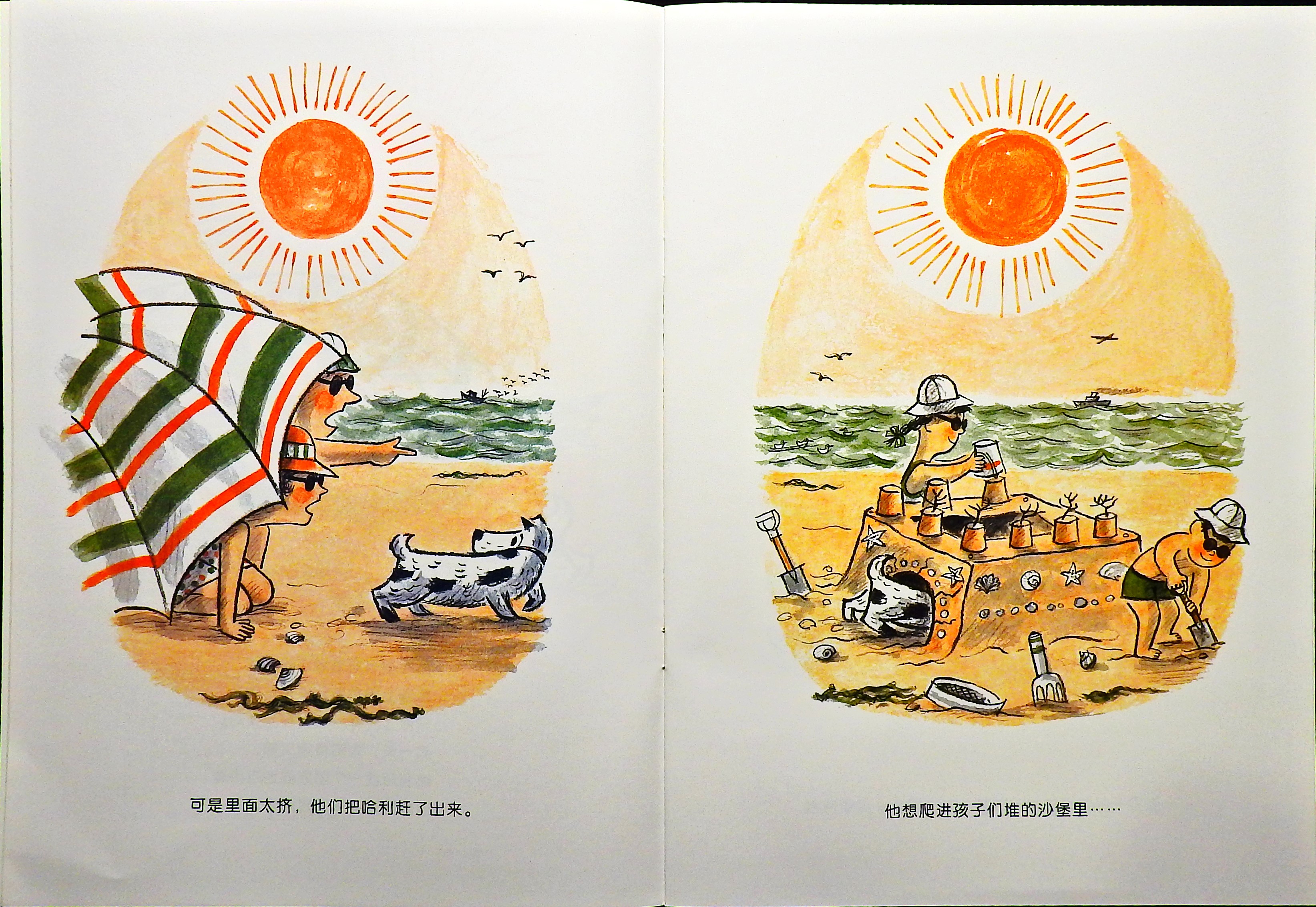 哈利海边历险记 (05),绘本,绘本故事,绘本阅读,故事书,童书,图画书,课外阅读